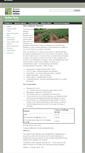 Mobile Screenshot of huttonsoils.com